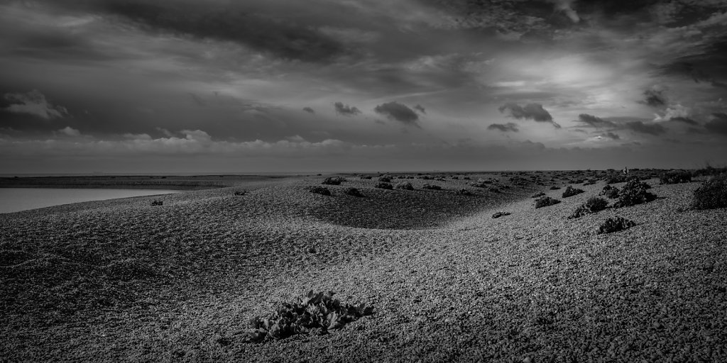 S H I N G L E L A N D