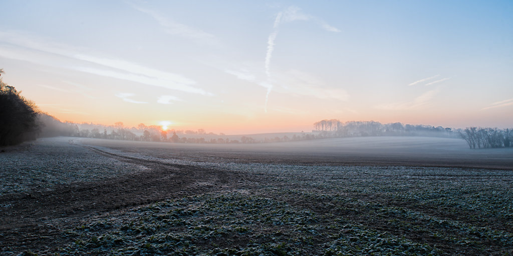 frost field 2